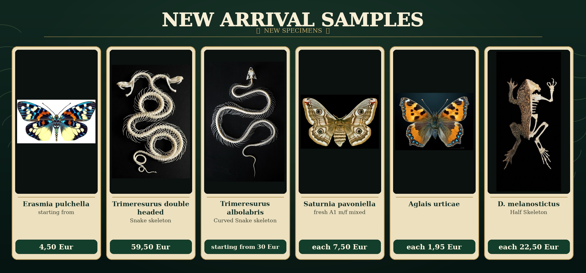 New arrival samples: Erasmia pulchella, Trimeresurus snake skeletons, Saturnia pavoniella, Aglais urticae, D. melanostictus half skeleton